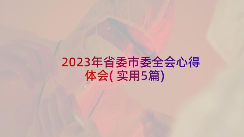 2023年省委市委全会心得体会(实用5篇)