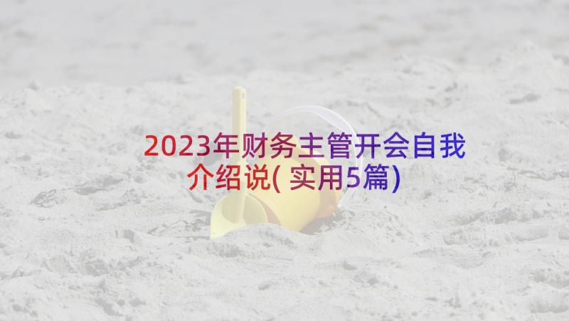2023年财务主管开会自我介绍说(实用5篇)