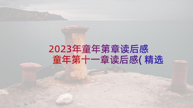 2023年童年第章读后感 童年第十一章读后感(精选5篇)