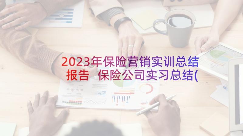 2023年保险营销实训总结报告 保险公司实习总结(优秀9篇)