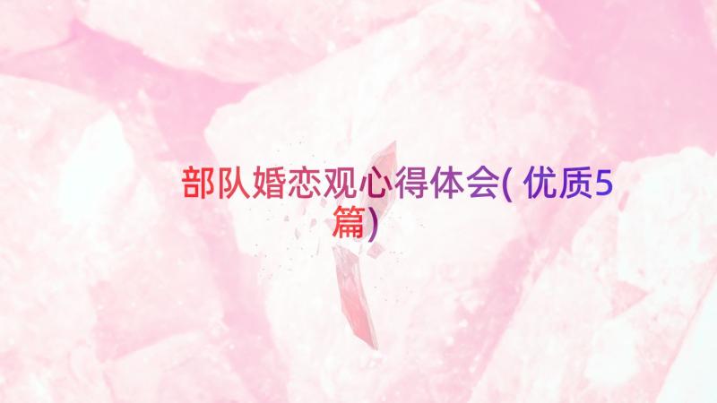 部队婚恋观心得体会(优质5篇)