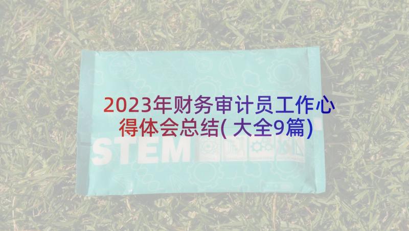 2023年财务审计员工作心得体会总结(大全9篇)