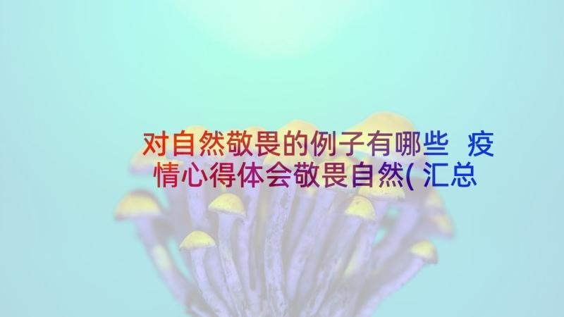 对自然敬畏的例子有哪些 疫情心得体会敬畏自然(汇总10篇)