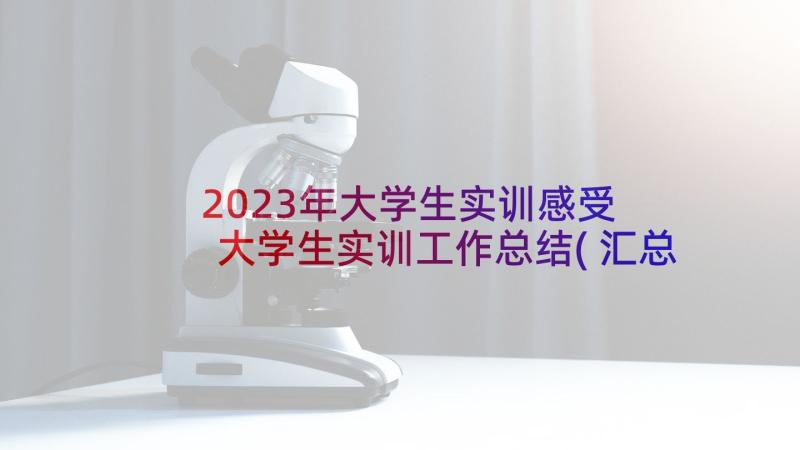 2023年大学生实训感受 大学生实训工作总结(汇总6篇)