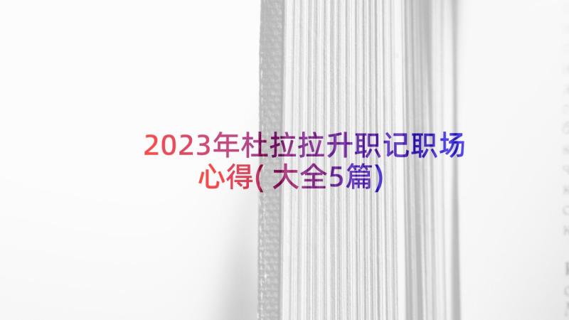 2023年杜拉拉升职记职场心得(大全5篇)