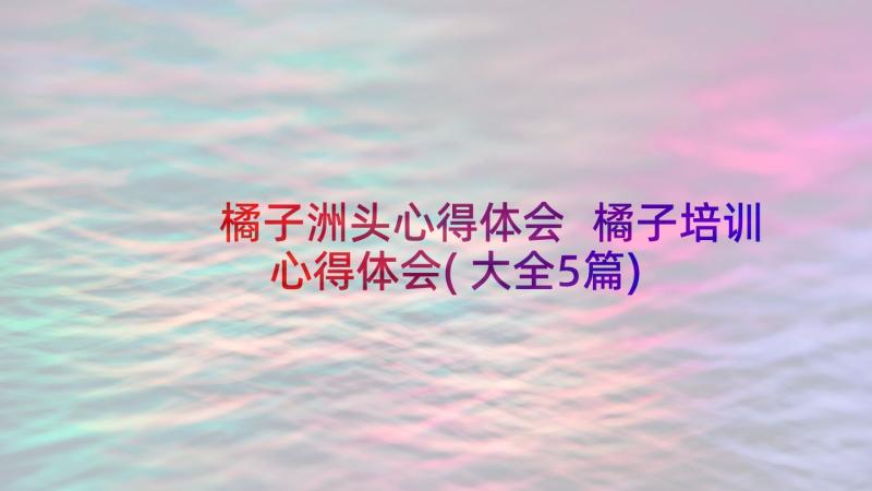 橘子洲头心得体会 橘子培训心得体会(大全5篇)