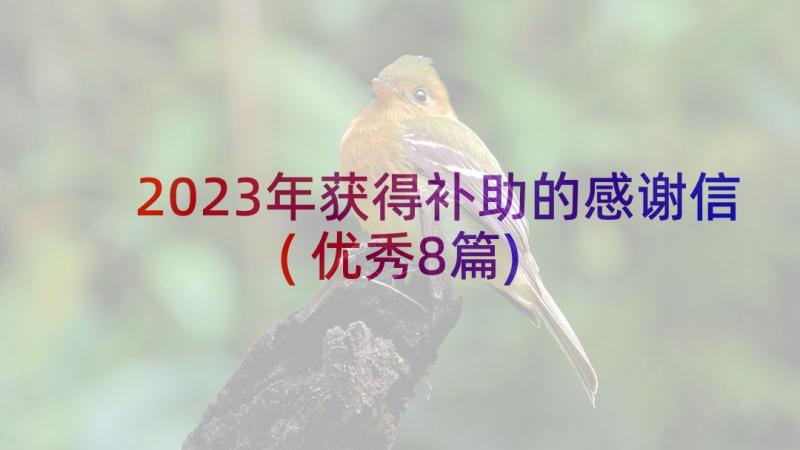 2023年获得补助的感谢信(优秀8篇)