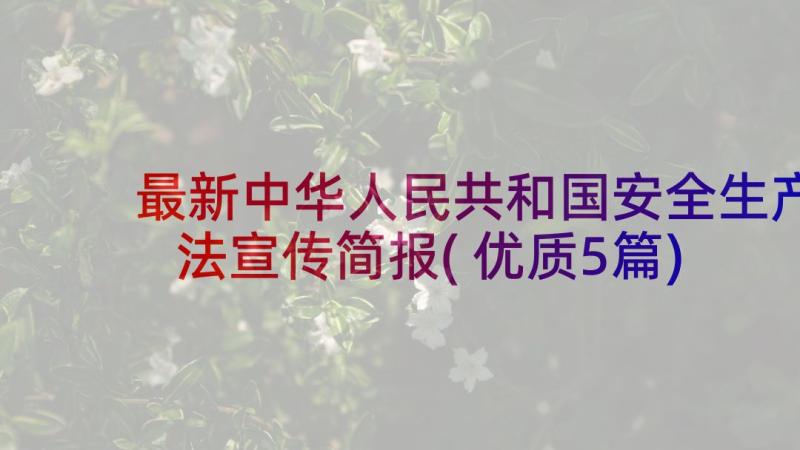 最新中华人民共和国安全生产法宣传简报(优质5篇)