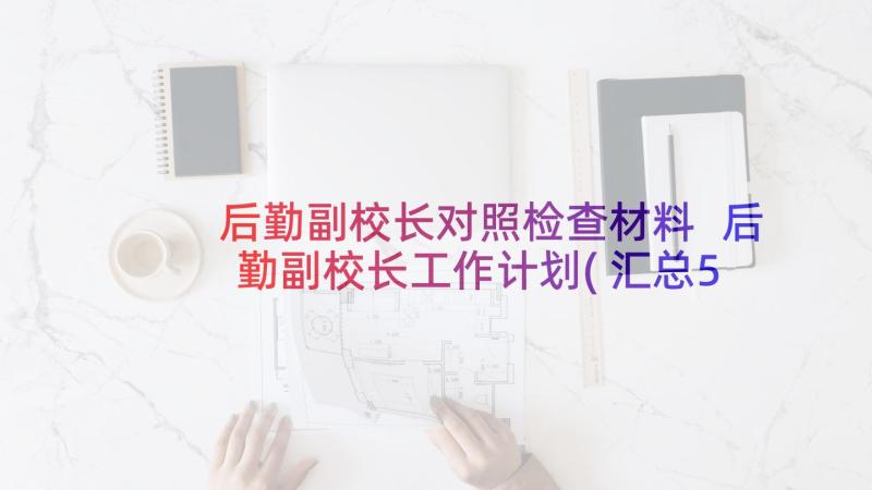 后勤副校长对照检查材料 后勤副校长工作计划(汇总5篇)