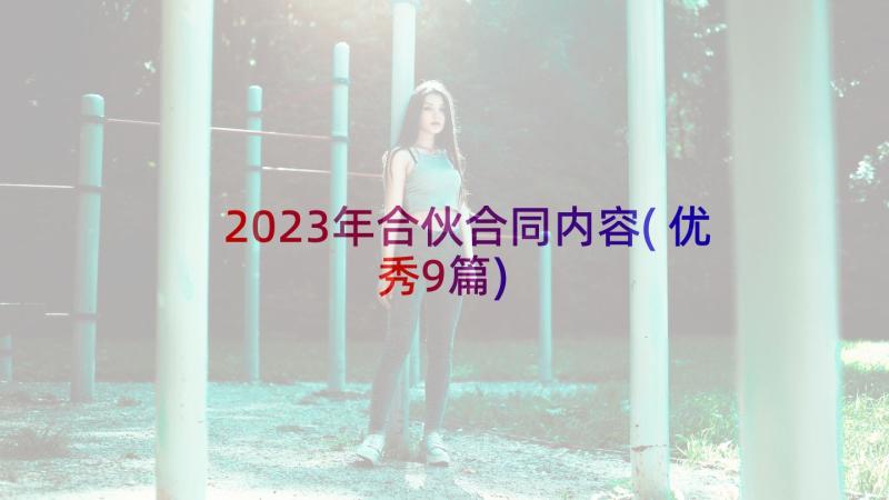 2023年合伙合同内容(优秀9篇)