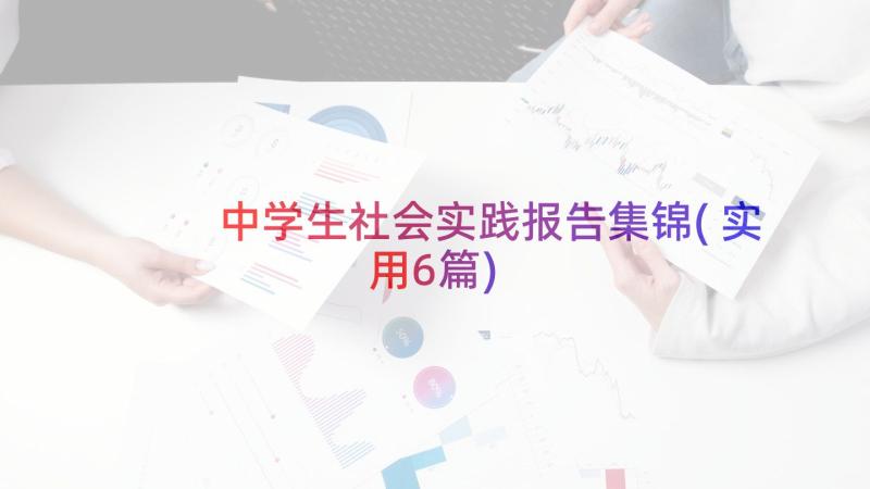 中学生社会实践报告集锦(实用6篇)