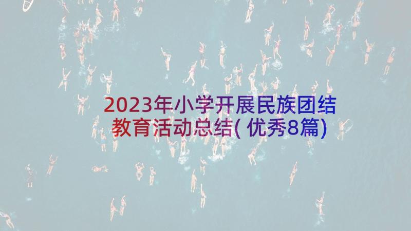 2023年小学开展民族团结教育活动总结(优秀8篇)