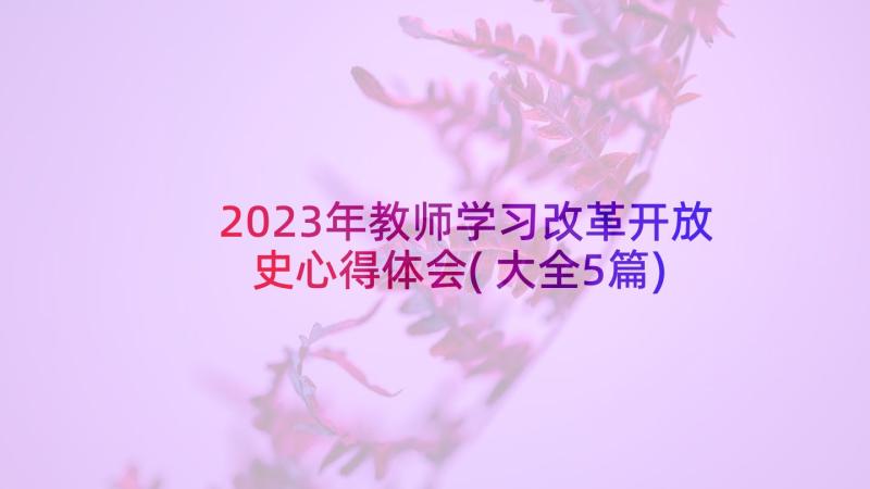 2023年教师学习改革开放史心得体会(大全5篇)