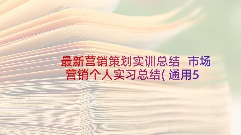 最新营销策划实训总结 市场营销个人实习总结(通用5篇)