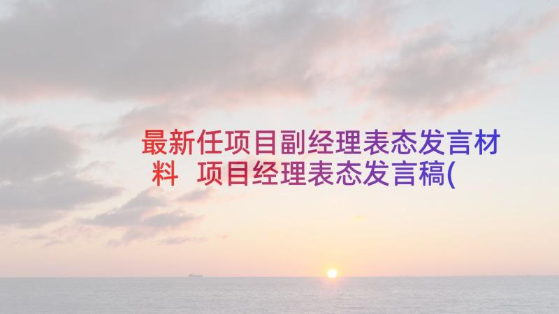 最新任项目副经理表态发言材料 项目经理表态发言稿(大全5篇)