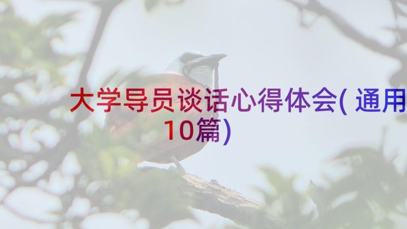 大学导员谈话心得体会(通用10篇)