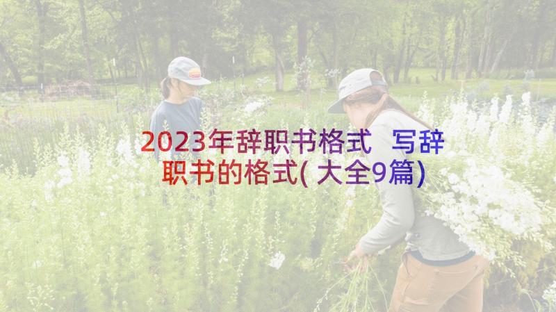 2023年辞职书格式 写辞职书的格式(大全9篇)