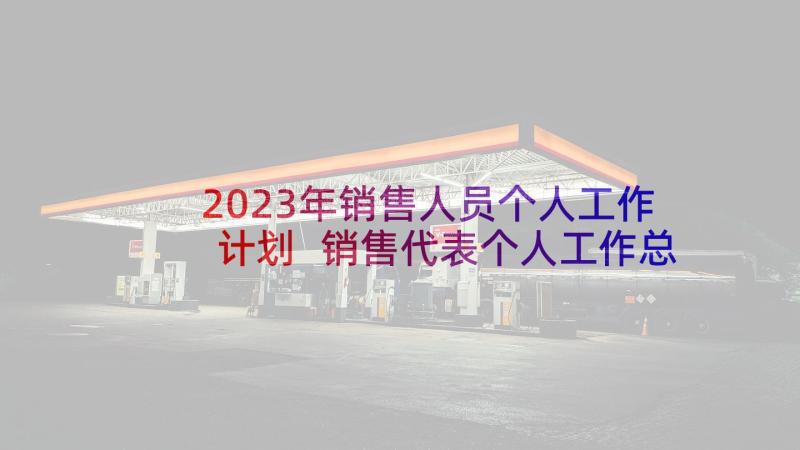 2023年销售人员个人工作计划 销售代表个人工作总结(大全7篇)