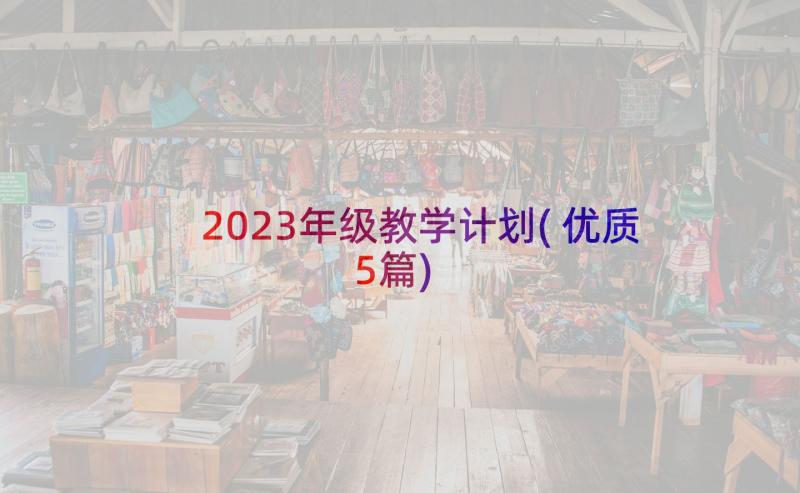 2023年级教学计划(优质5篇)