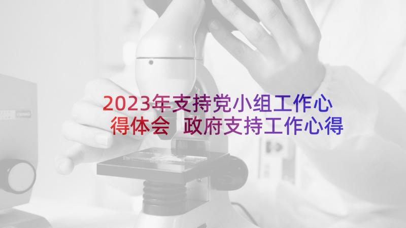 2023年支持党小组工作心得体会 政府支持工作心得体会(大全5篇)