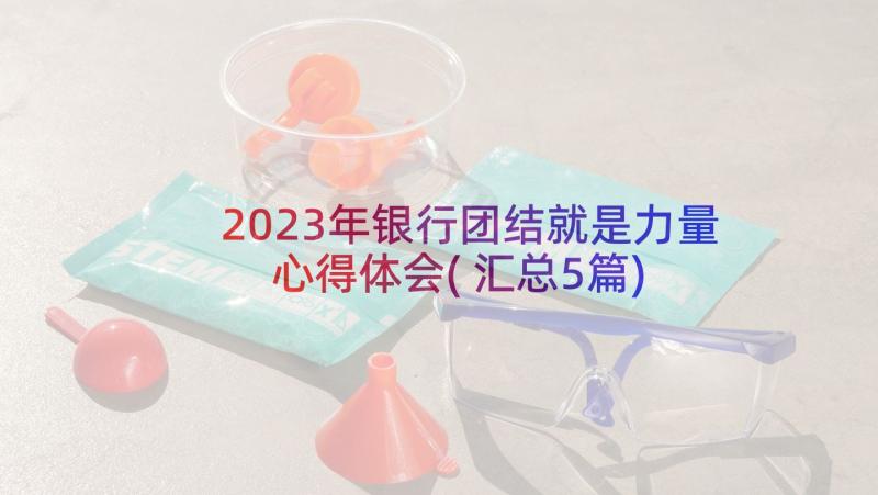 2023年银行团结就是力量心得体会(汇总5篇)