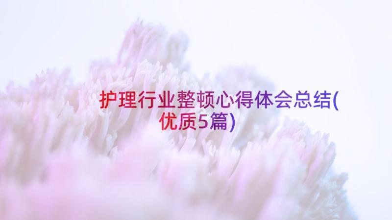 护理行业整顿心得体会总结(优质5篇)