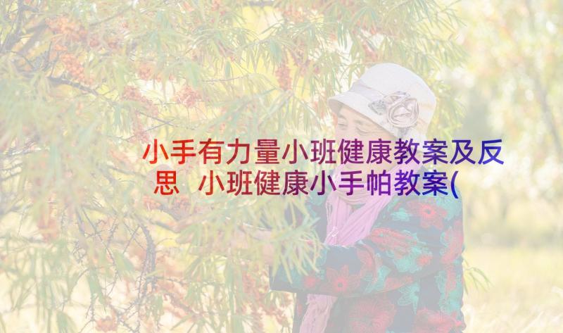 小手有力量小班健康教案及反思 小班健康小手帕教案(实用7篇)