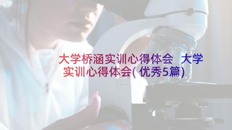 大学桥涵实训心得体会 大学实训心得体会(优秀5篇)