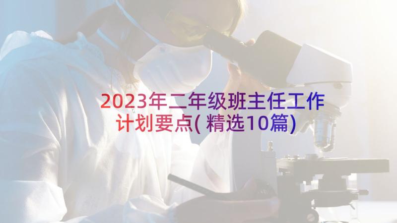 2023年二年级班主任工作计划要点(精选10篇)