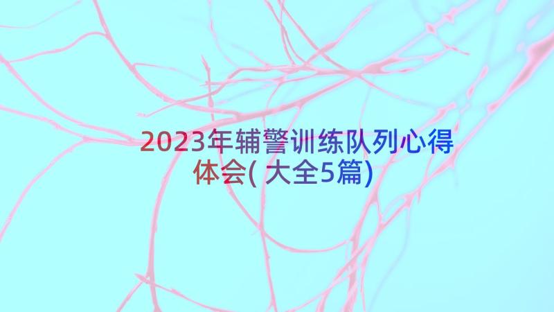 2023年辅警训练队列心得体会(大全5篇)