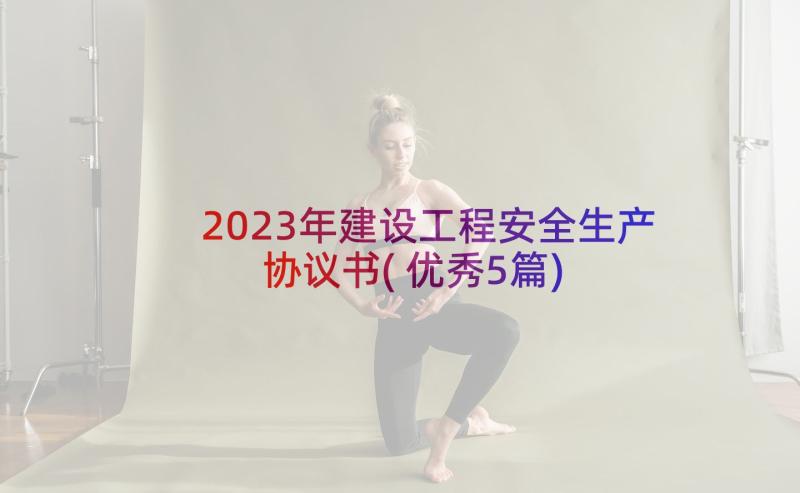 2023年建设工程安全生产协议书(优秀5篇)