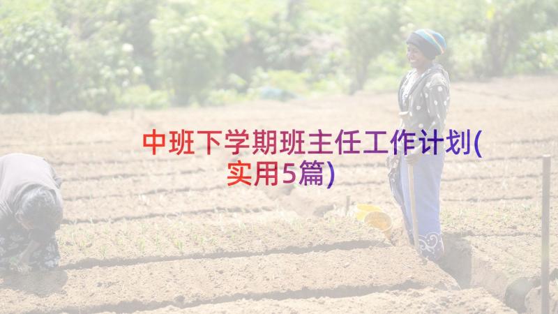 中班下学期班主任工作计划(实用5篇)