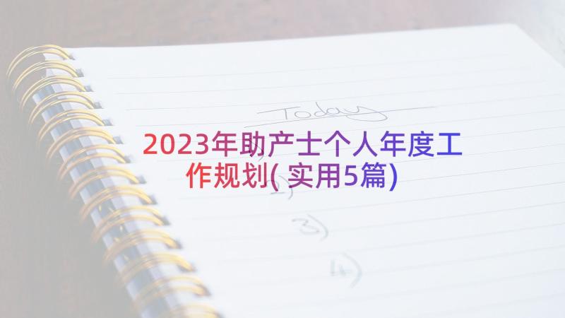 2023年助产士个人年度工作规划(实用5篇)