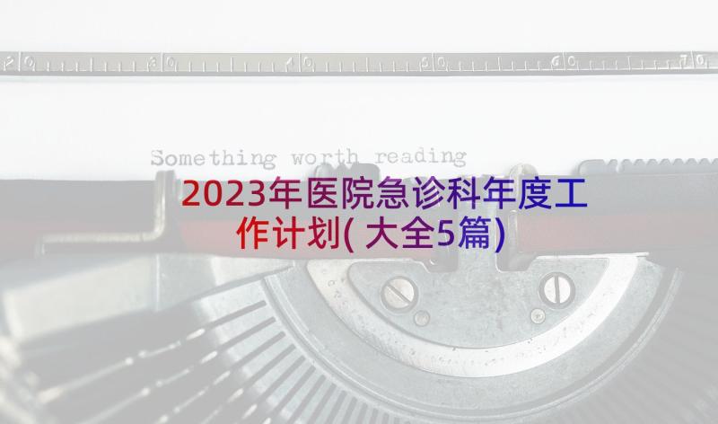 2023年医院急诊科年度工作计划(大全5篇)