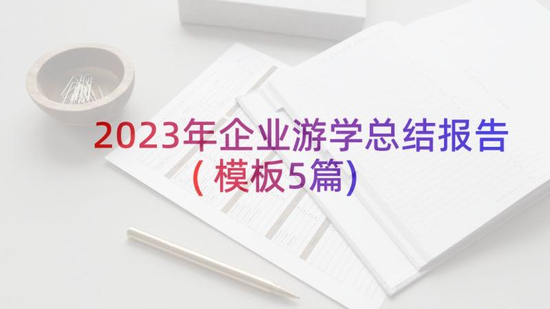 2023年企业游学总结报告(模板5篇)