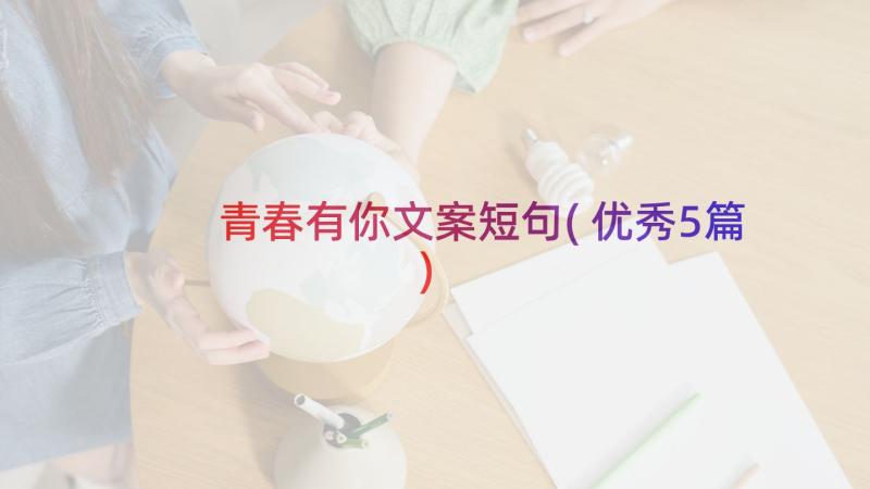 青春有你文案短句(优秀5篇)