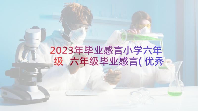 2023年毕业感言小学六年级 六年级毕业感言(优秀10篇)