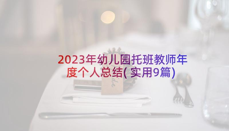 2023年幼儿园托班教师年度个人总结(实用9篇)