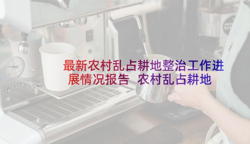 最新农村乱占耕地整治工作进展情况报告 农村乱占耕地建房处置方案(通用5篇)