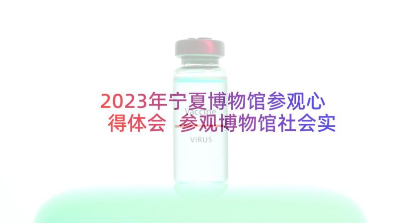 2023年宁夏博物馆参观心得体会 参观博物馆社会实践报告(大全5篇)