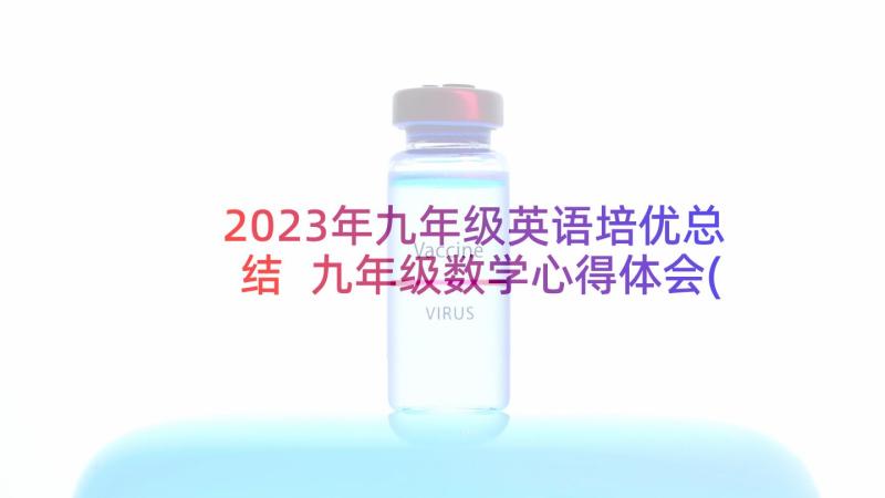 2023年九年级英语培优总结 九年级数学心得体会(大全6篇)