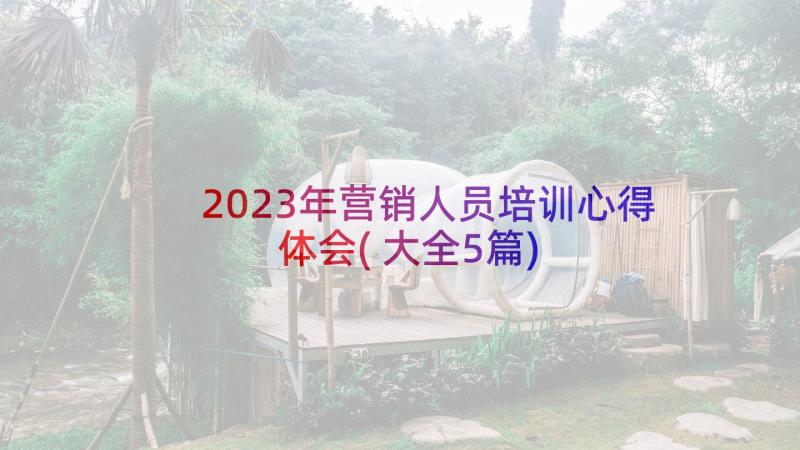 2023年营销人员培训心得体会(大全5篇)