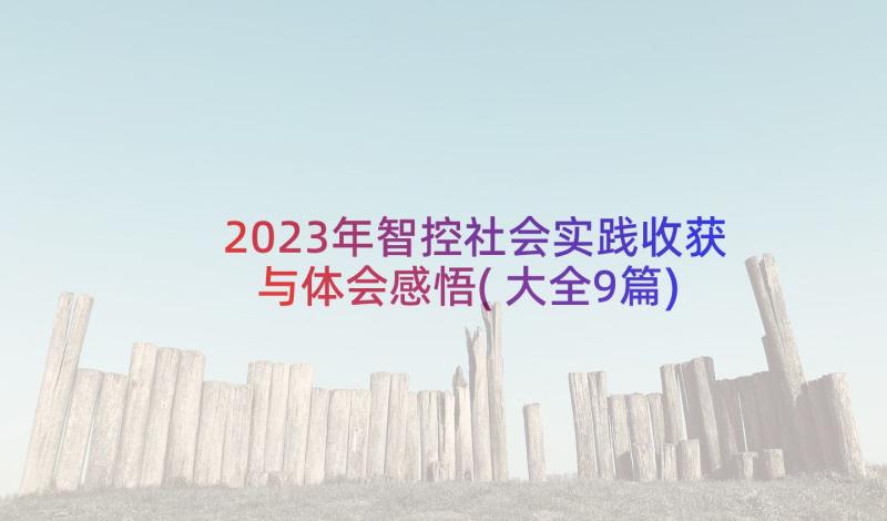 2023年智控社会实践收获与体会感悟(大全9篇)