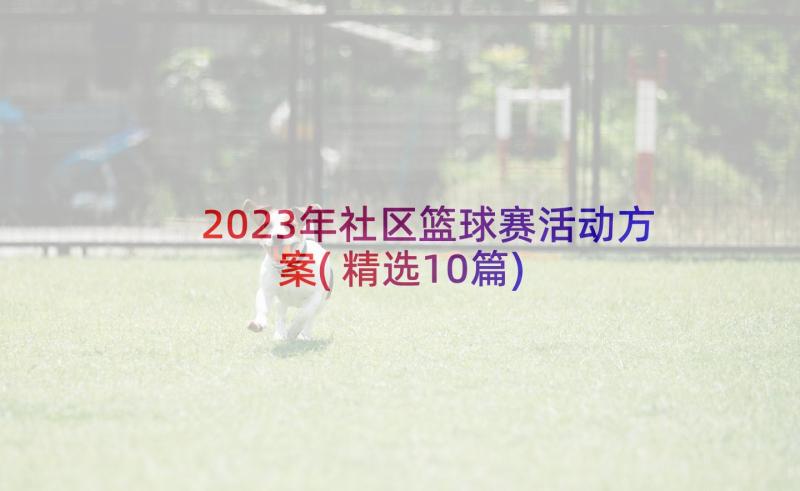 2023年社区篮球赛活动方案(精选10篇)