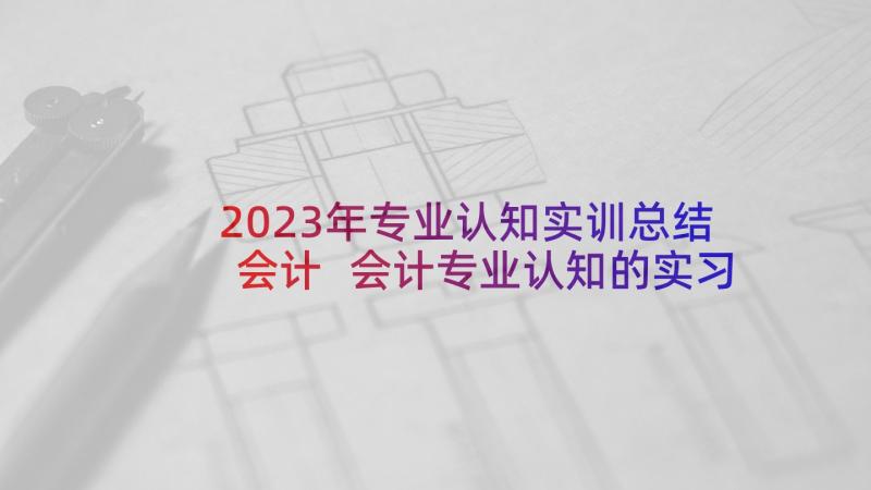 2023年专业认知实训总结会计 会计专业认知的实习总结(模板5篇)