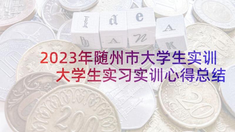 2023年随州市大学生实训 大学生实习实训心得总结(模板9篇)