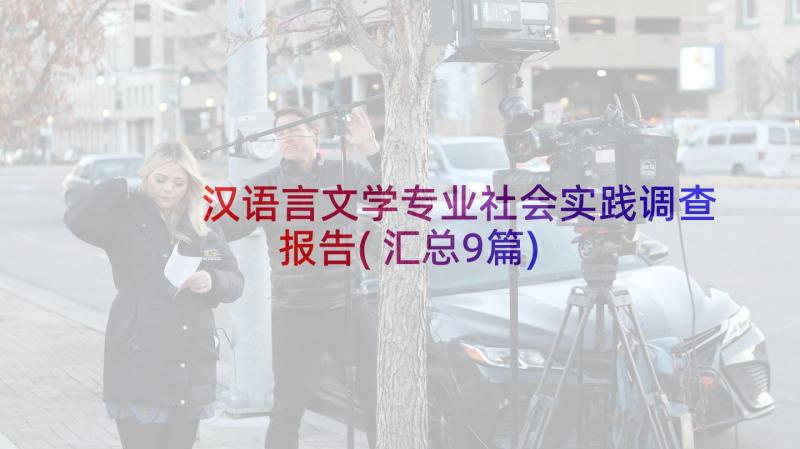 汉语言文学专业社会实践调查报告(汇总9篇)