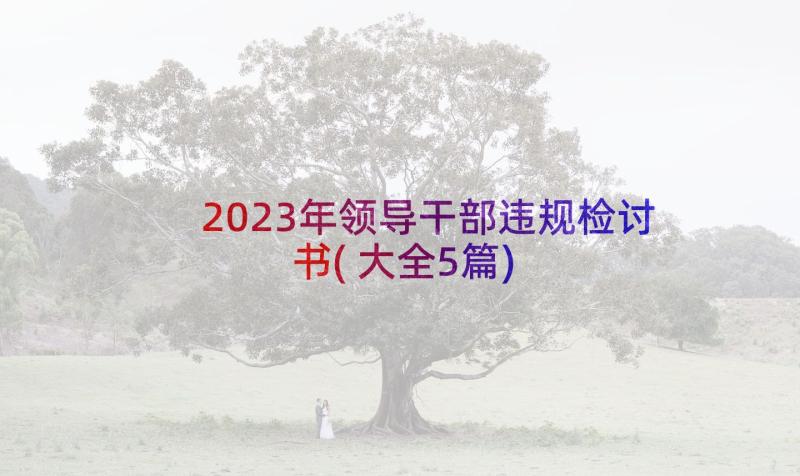 2023年领导干部违规检讨书(大全5篇)