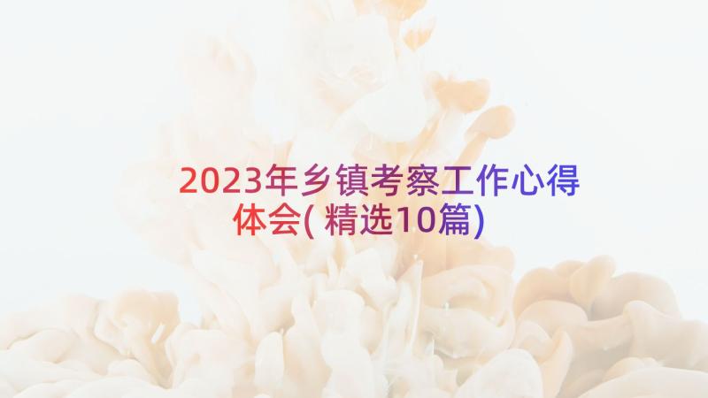 2023年乡镇考察工作心得体会(精选10篇)