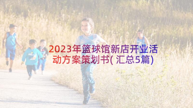 2023年篮球馆新店开业活动方案策划书(汇总5篇)